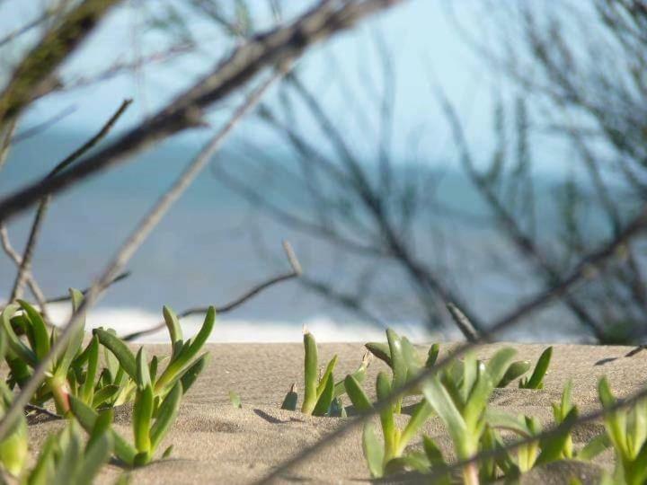 Cabanas Mapuche Mar de Las Pampas Εξωτερικό φωτογραφία